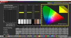 已校准 CalMAN ColorChecker（目标色彩空间：P3）