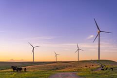 Enel 的 Smokey Hills 风电场。参考图片。(图片来源：Enel）