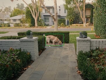 新功能可利用人工智能追踪和定位附近的宠物