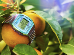 天美时 80 36 毫米（如图）不锈钢伸缩表带手表。(图片来源：Timex）