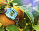 天美时 80 36 毫米（如图）不锈钢伸缩表带手表。(图片来源：Timex）