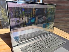 在阳光下