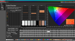 校准后的 ColorChecker