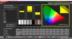 CalMAN ColorChecker（配置文件：默认，目标色彩空间：P3）