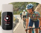 Fitbit 异常趋势功能使用心率和呼吸频率等数据。(图片来源：Fitbit）