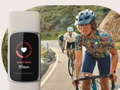 Fitbit 异常趋势功能使用心率和呼吸频率等数据。(图片来源:Fitbit)