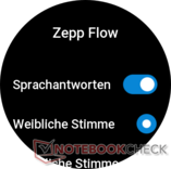 Zepp Flow 设置