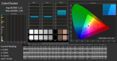 CalMAN - ColorChecker (after calibration)