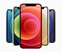 iPhone 12 被发现放在口袋里时会释放出比它应该释放的更多的辐射。(图片来源：Apple)