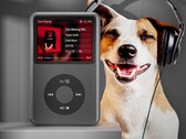 Innioasis 正在销售一款外形酷似Apple iPod Classic 的产品（图片来源：Innioasis）。