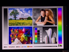 宽广的 OLED 视角