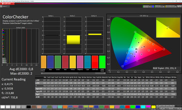 色彩精度（色彩方案标准、色温标准、目标色彩空间 sRGB）