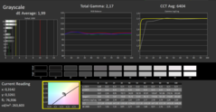 Calman ColorChecker。DisplayP3显示模式--灰度