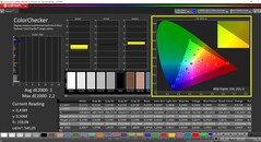 CalMAN ColorChecker（配置文件：sRGB，目标色彩空间sRGB）。