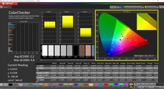 CalMAN ColorChecker（配置文件：原生，目标色彩空间：P3）