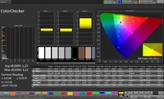 ColorChecker （配置文件：专业，目标色彩空间：sRGB）