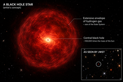 “黑洞星”的概念：一个被致密氢云包围的超大质量黑洞。
