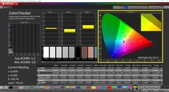 CalMAN ColorChecker（配置文件：显示 P3，目标色彩空间：P3）