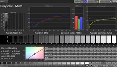 灰度（配置文件：专业，目标色彩空间：sRGB）