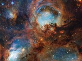 猫爪的详细图像（图片来源：NASA、ESA、CSA 和 STScI；已裁剪）