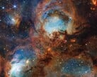 猫爪的详细图像（图片来源：NASA、ESA、CSA 和 STScI；已裁剪）