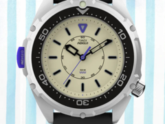 Timex Intrepid x Dimepiece Edition（如图）。(图片来源：Timex）