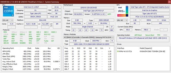 联想ThinkPad L14 G2 - HWInfo