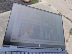 在明亮的阴天下的户外