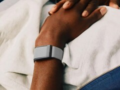 Whoop 的追踪器显然存在重大问题（图片来源：Whoop）