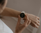 来自 Garmin 应用程序的图表截图还显示了心率、心率变异状态和身体电池电量在几周内的变化趋势。图：Garmin 智能手表。(图片来源：Káplár Bálint Áron on Unsplash）