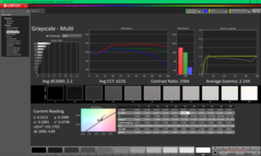 校准前灰度 (P3)