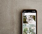 一部智能手机置于灰色表面上,屏幕上显示着猫和花的照片集锦