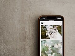 一部智能手机置于灰色表面上,屏幕上显示着猫和花的照片集锦