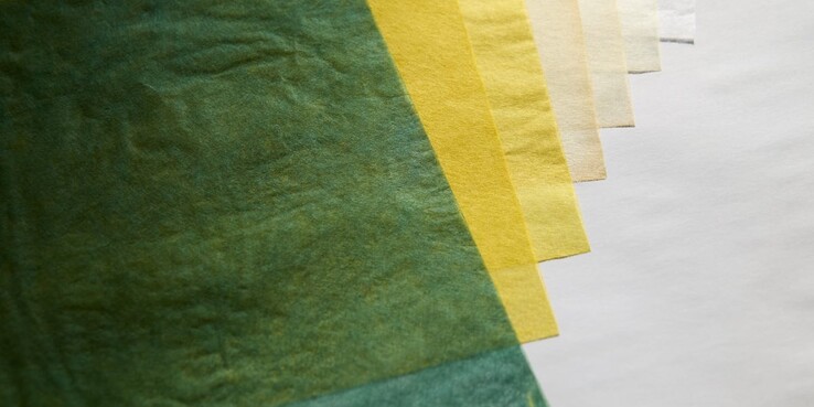 日本和纸，用 Chitose Midori（一种传统的日本绿色颜料）染色。