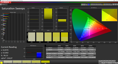 CalMAN - Saturation Sweeps (calibrated)