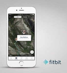 (图片来源：Fitbit)