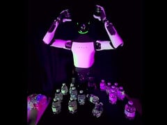 特斯拉擎天柱坠落前。(图片来源:Decent_Cheesecake643/Reddit)