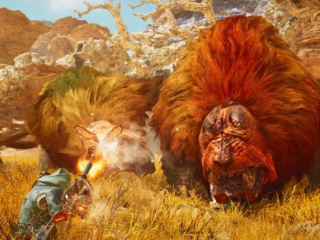 怪物猎人荒野》沙漠战斗（图片来源：Steam）