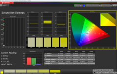 CalMAN 饱和度校准