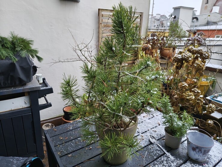 使用主摄像头拍照