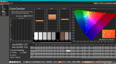 校准后的 ColorChecker