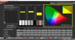 CalMAN ColorChecker（配置文件：sRGB，目标色彩空间：sRGB）