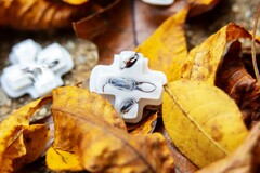 Deck Buttons 推出了六种不同的透明 D-pads,里面有昆虫。(图片:Deck Buttons)