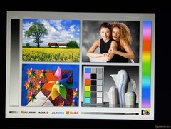 宽广的 IPS 视角