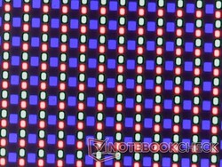 清晰的 OLED 子像素