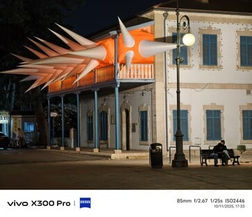 vivo X300 Pro:照片样本