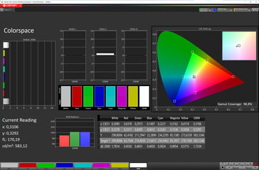 色彩空间（外部显示器，色彩配置文件：自然，目标色彩空间：sRGB）