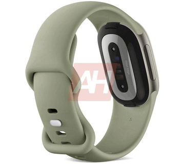 橄榄绿 Fitbit edge 背面图