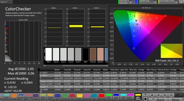 色彩精度（目标色彩空间：sRGB；配置文件：标准）