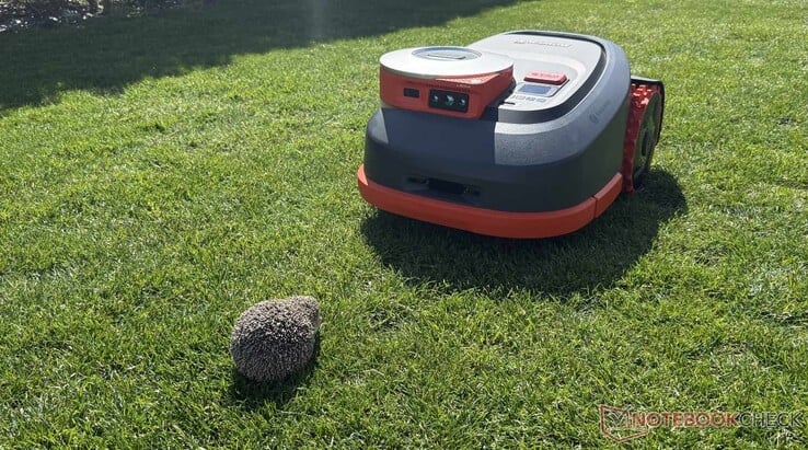 在测试过程中,Navimow H2 可靠地检测到了我们的假刺猬。